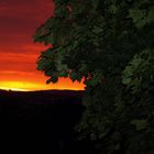 2009 ... Blick vom Balkon ... mit Vorfreude auf den kommenden Sommer  ;o)