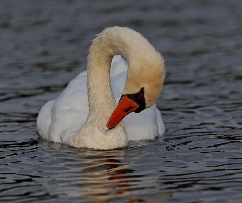 2009 Haltern am See