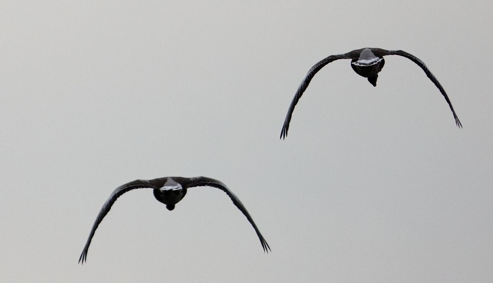 2009 Haltern am See