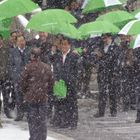 2009 Peking - Chinesische Touristen im Schnee