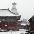2009 Peking: Tempel der Weißen Pagode