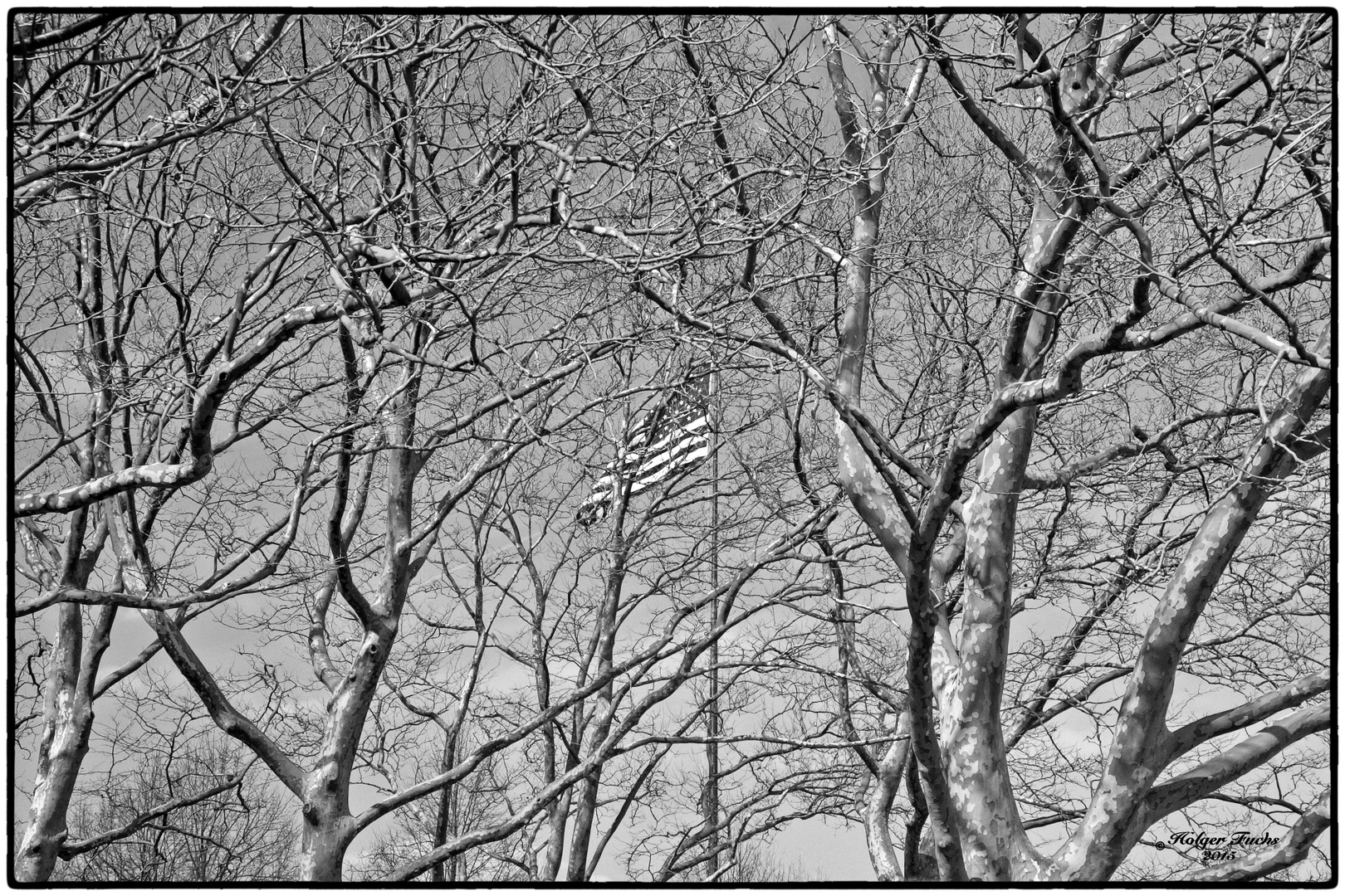 2009 Stars and Stripes - Liberty Island