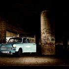 20090808_06-00007_Trabbi-7