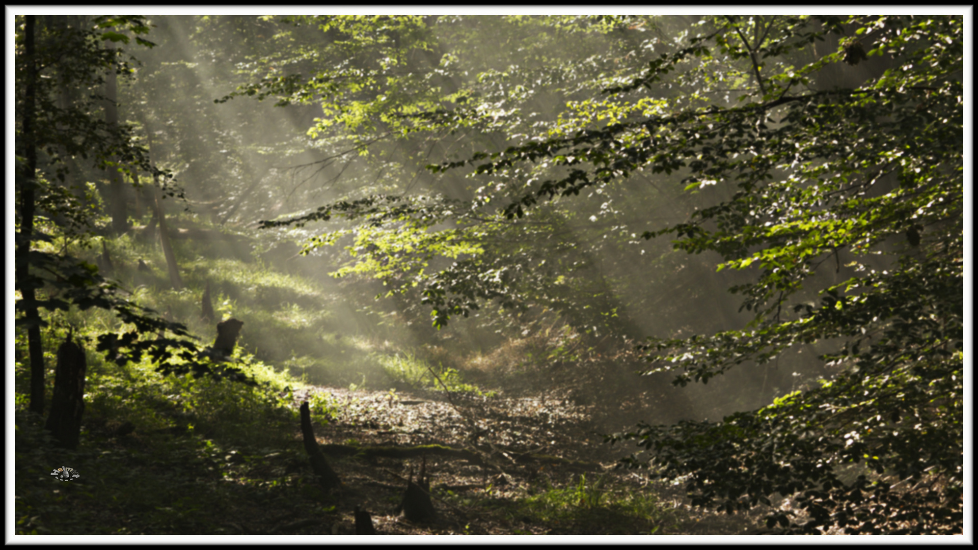 2009_1855 der letzte Spätsommertag