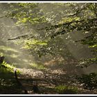 2009_1855 der letzte Spätsommertag