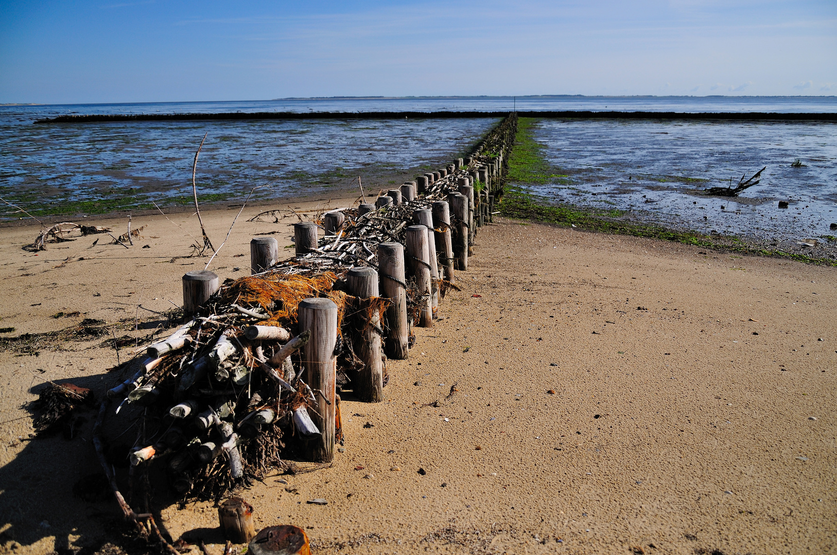 2010-07-17 Amrum (am Watt) Foto & Bild | deutschland ...