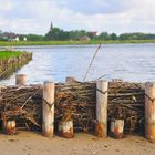 2010-07-18 Amrum (am Watt / Nebel)