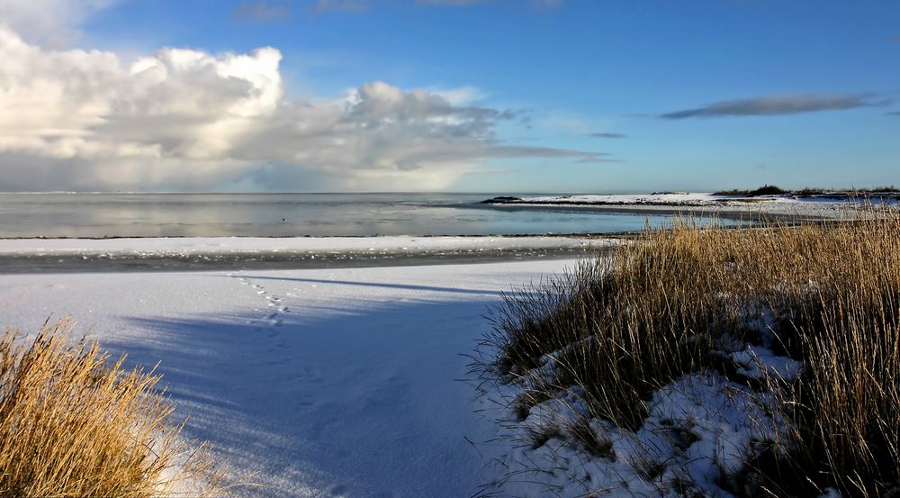 2010-12-06 Sylt - Hafen von Munkmarsch im Winter