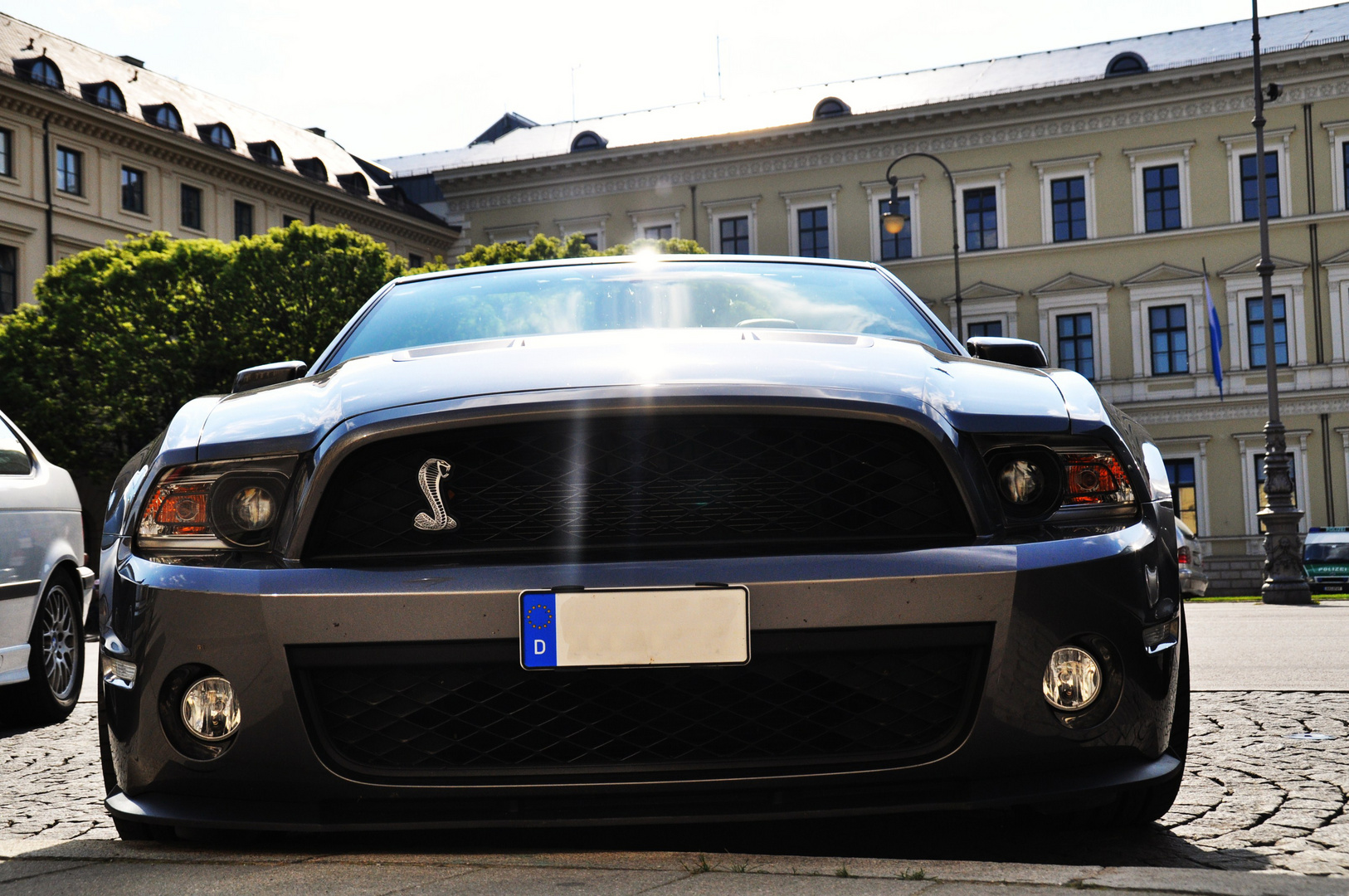 2010 Ford Mustang Shelby Cabrio 2