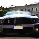 2010 Ford Mustang Shelby Cabrio 2