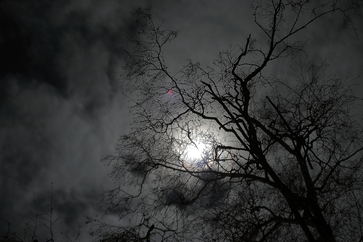 2010, kurz nach Mitternacht Foto & Bild naturkreativ, natureindrücke