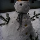 2010 mein Schneemann