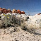 2010 - Valley of Fire I