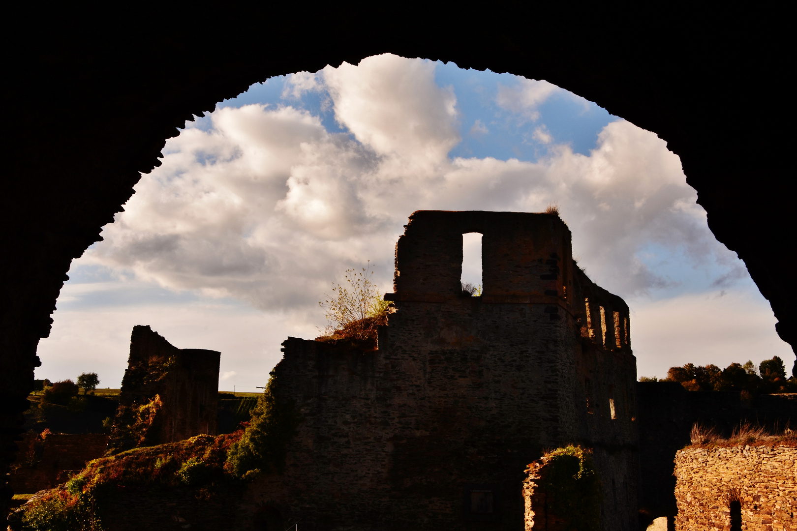 201010 - Burg Rheinfels am späten Nachmittag