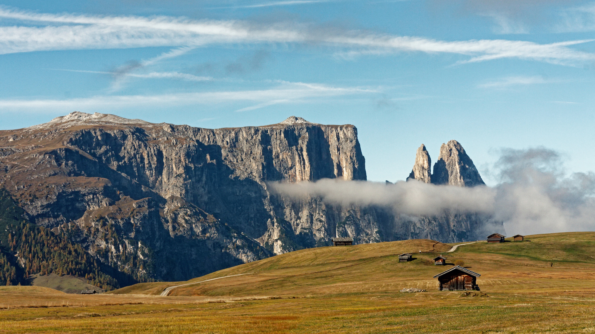 2010_Auf der Seiseralm_3923