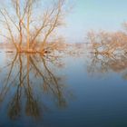 2011-01-29 - Dömitz - Brücken bei Hochwasser