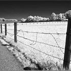 2011 05 08 BB IR 157