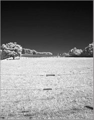 2011 05 08 BB IR 172