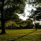 2011-10-26; Stuttgarter Rosensteinpark