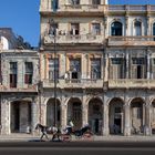 2011 Havanna 17
