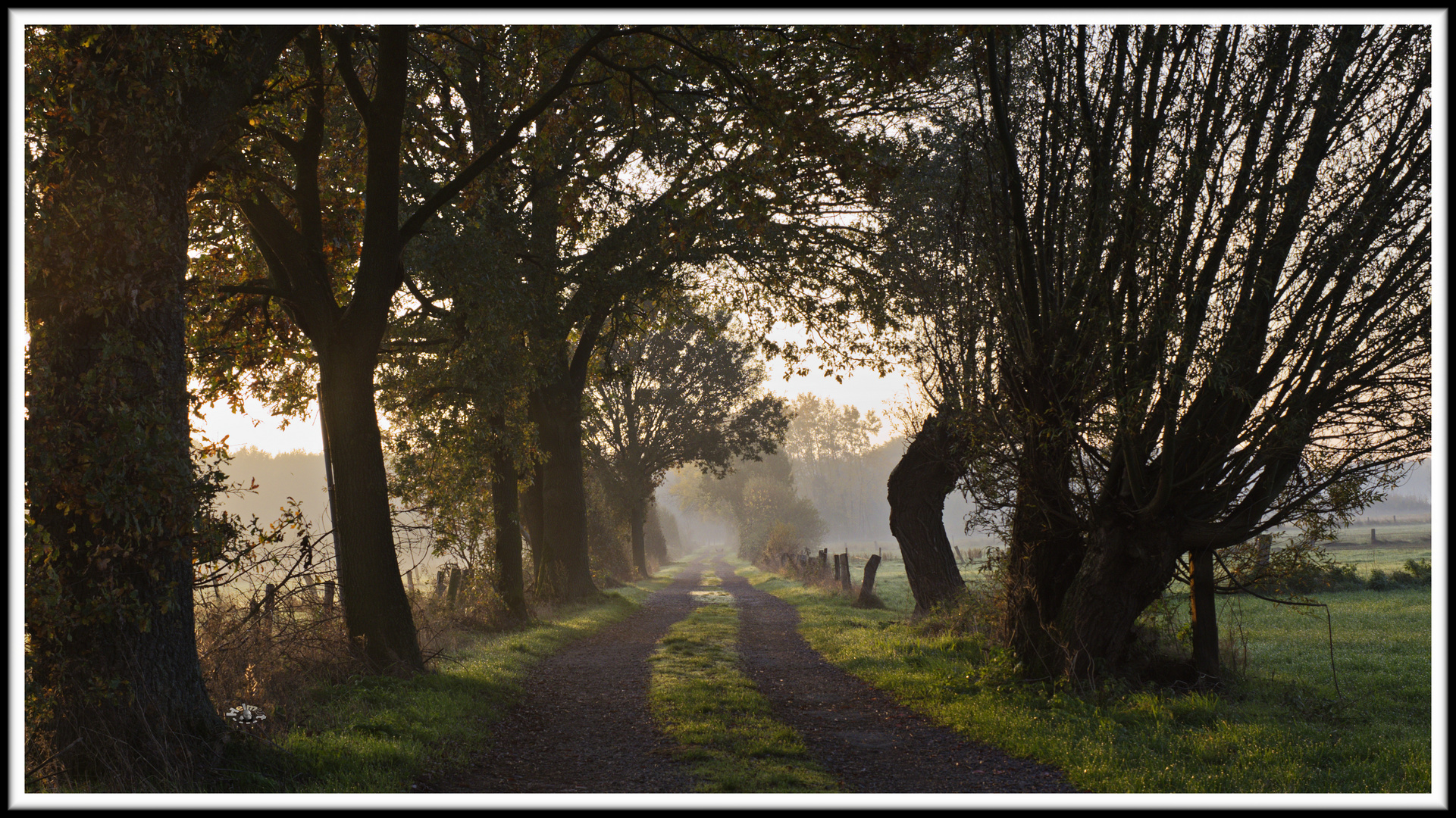 2011_0018 Herbstmorgen in der Heide 2