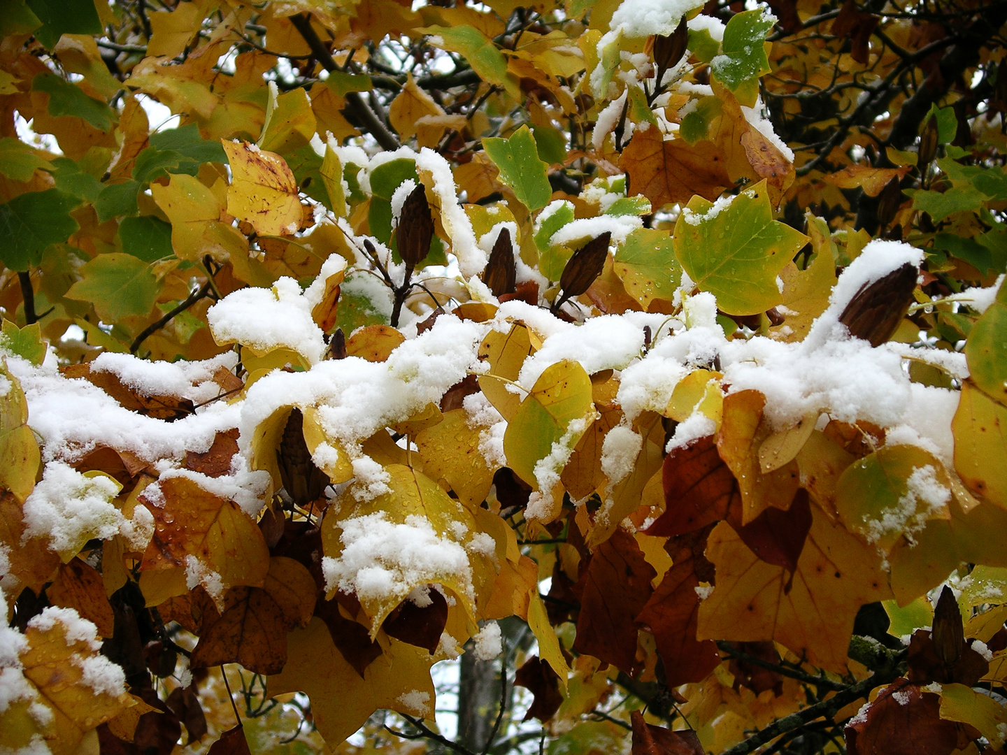 2012-10-28; Herbst und Winter