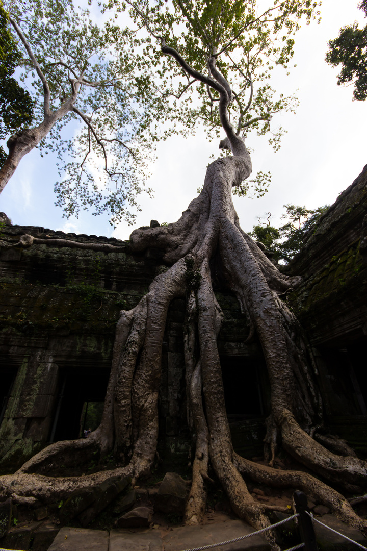 2012 11 Kambodscha Angkor Wat