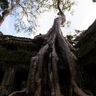 2012 11 Kambodscha Angkor Wat