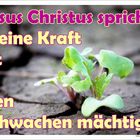 2012 Biblische Jahreslosung