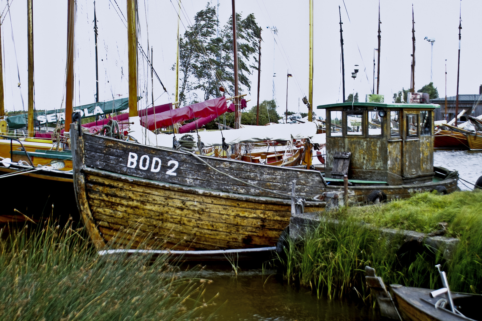 2012 Hafenydille am Saaler Bodden