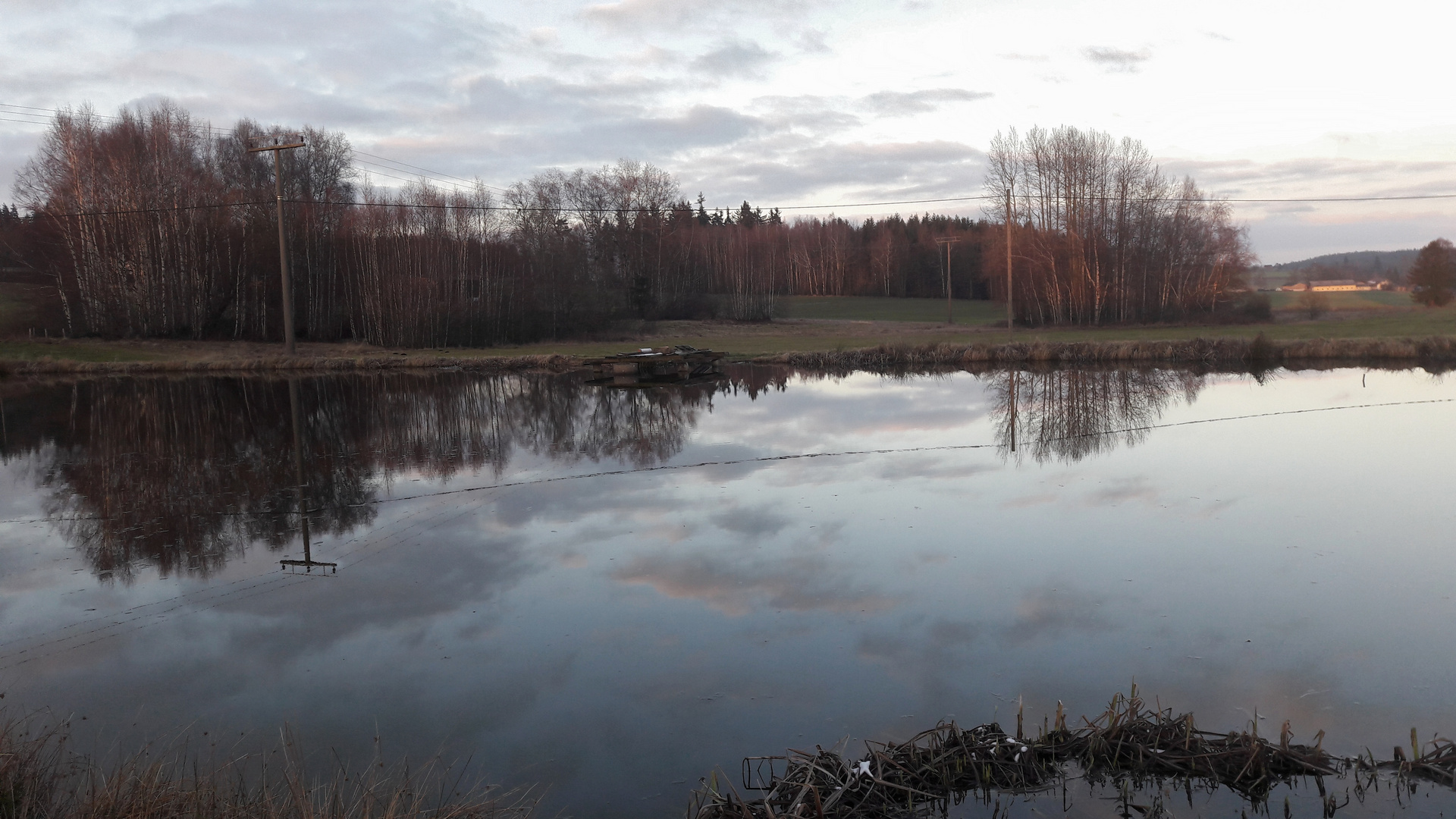 20.1.2020 Spiegeltag. Farbige Wolken im Wasser 