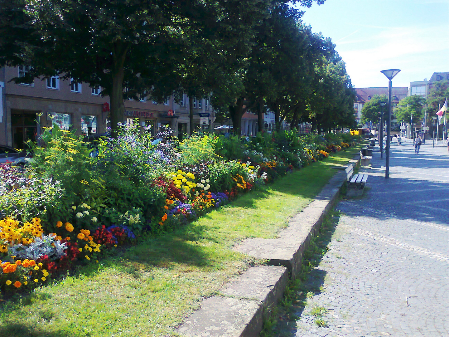 20120813 ARCHIV ;Bayreuth :Blumenpracht bis in die Innenstadt