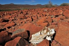 2012/13 war in Namibia sehr trocken