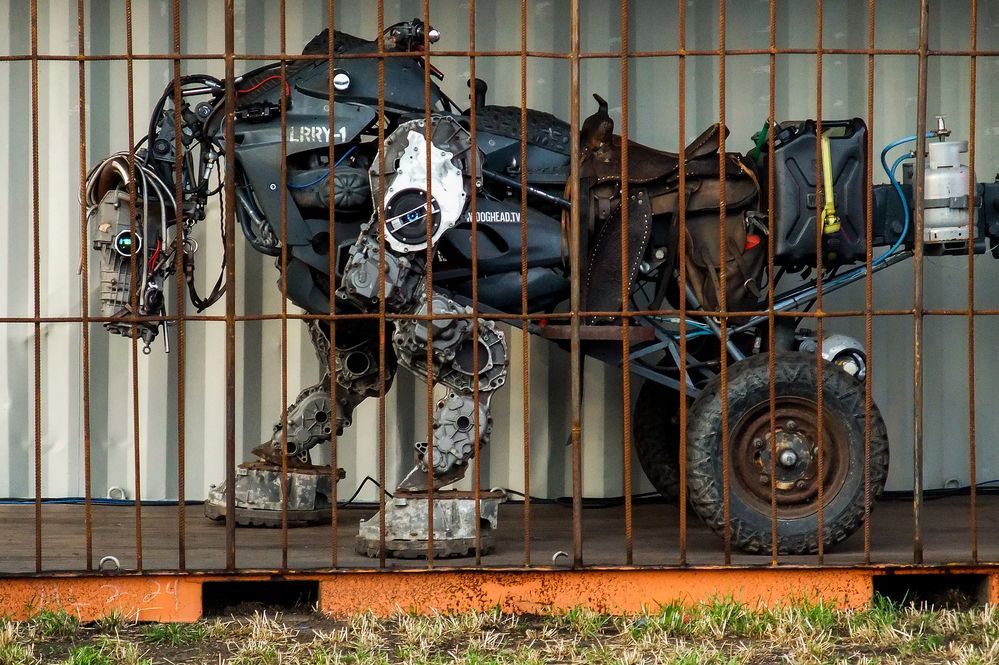 2012_2353 Hinter Gittern