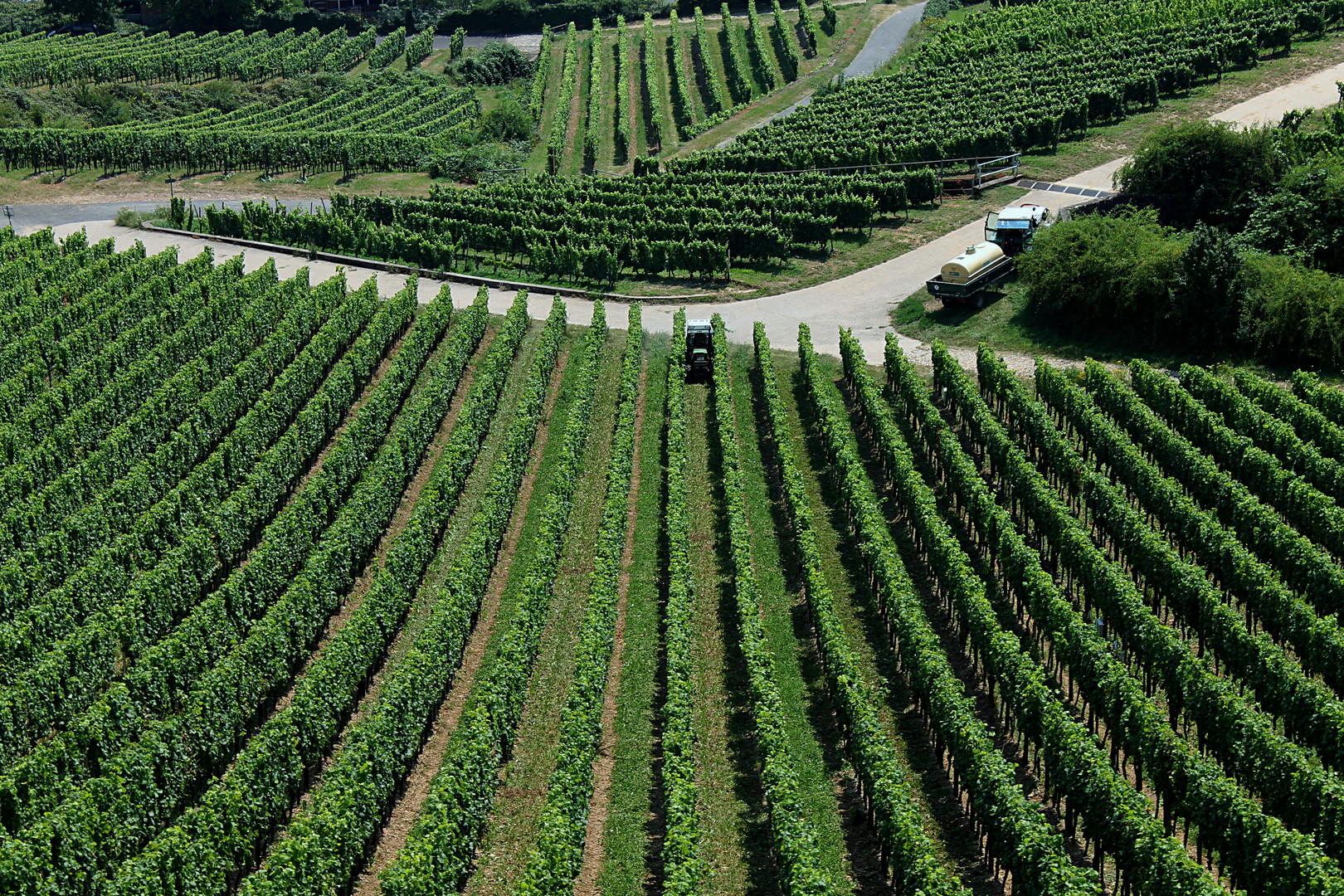 2012er Rheingau