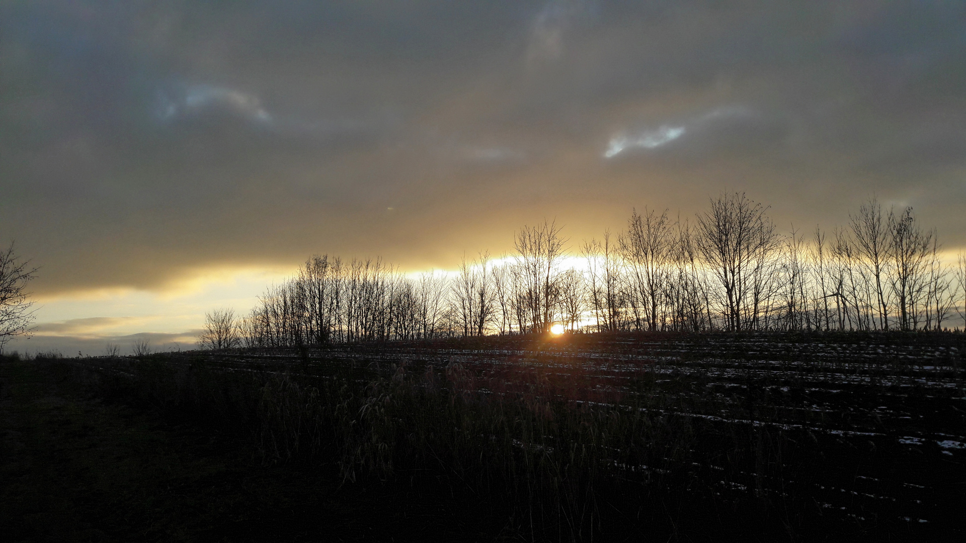 20.1.2o20 Schneewolken über Feld und Flur 