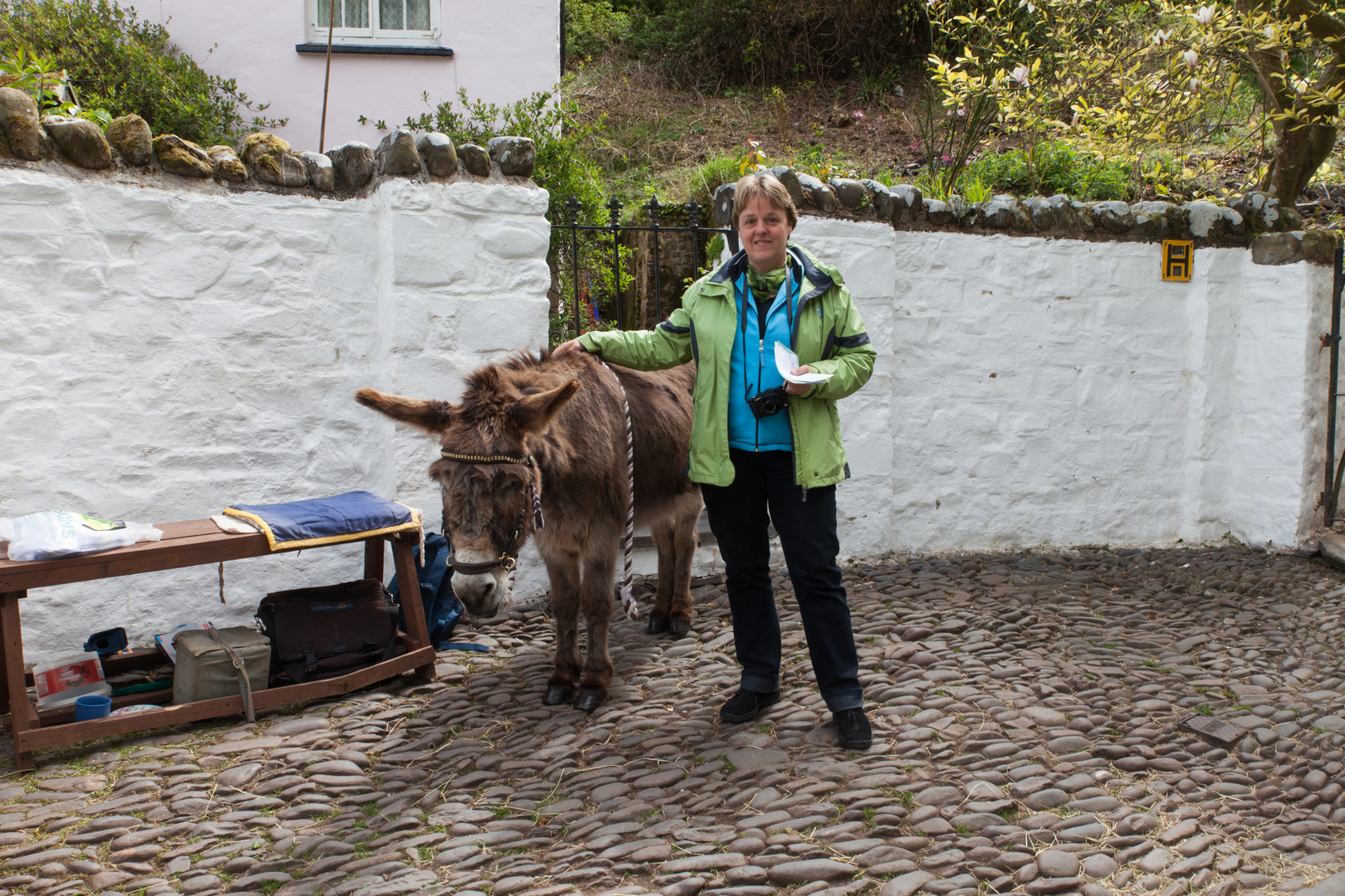 2013-05-24 KingArthur Stratton Clovelly0100