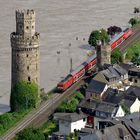 2013-06-03: Rheinhochwasser!