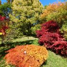 2013-10-19; Tübingen; Botanischer Garten