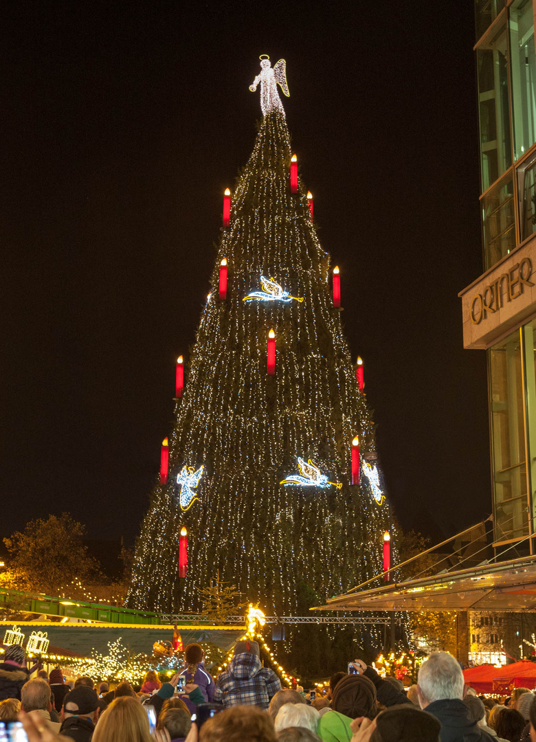2013 Der größte Weihnachtsbaum der Welt Foto & Bild deutschland
