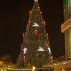 2013 Der größte Weihnachtsbaum der Welt