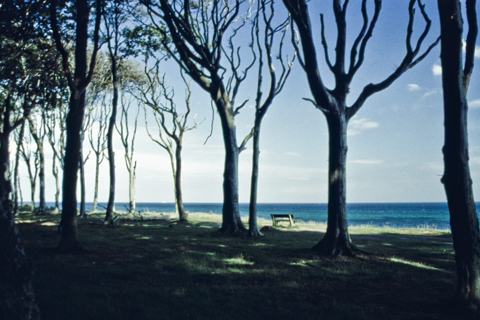 2013 - Heiligendamm- Südstrand