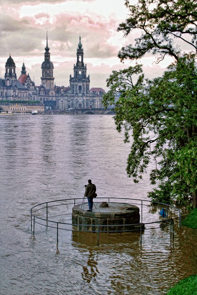 2013 Hochwasser in Dresden