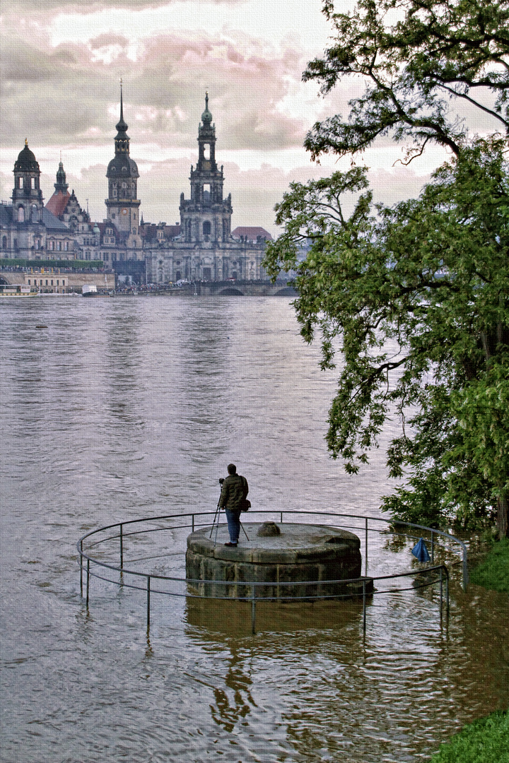 2013 Hochwasser in Dresden