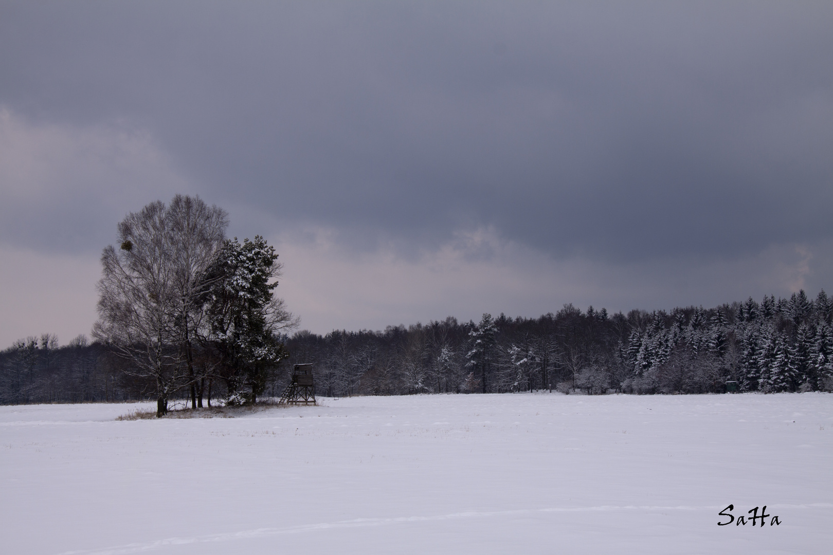 2013 -Kalendarischer Frühling