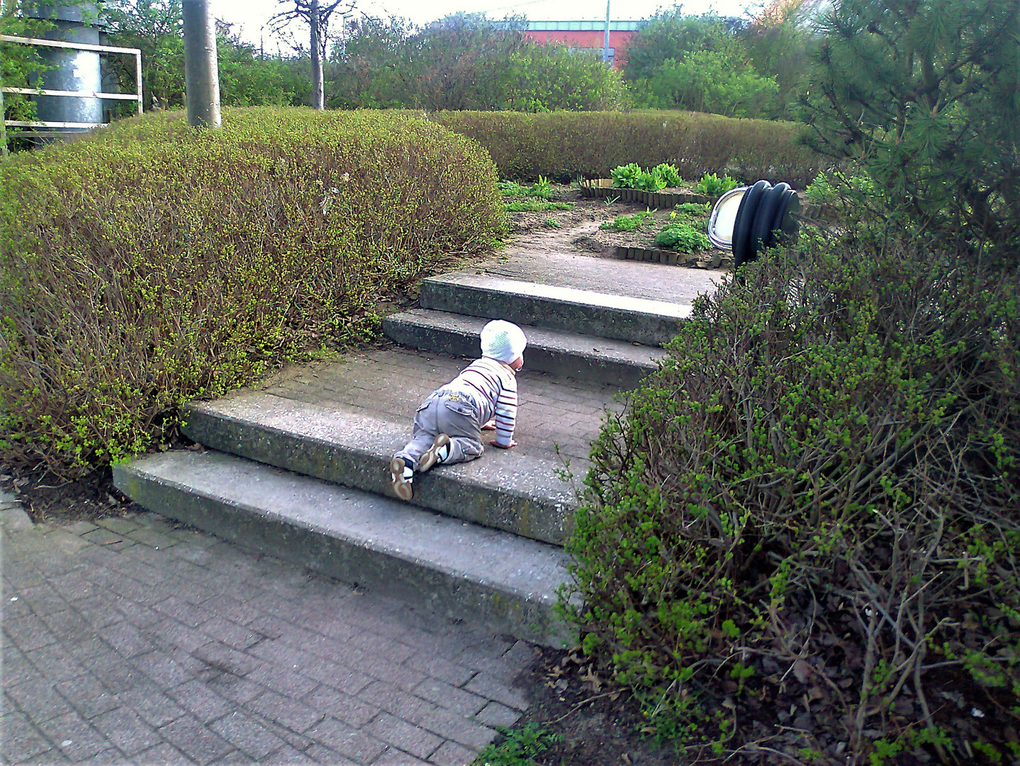 20130428 ARCHIV Mit Allrad und Schnuller zum Spielplatz