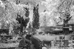 201305 Istanbul - alter Friedhof in Eyüp 2