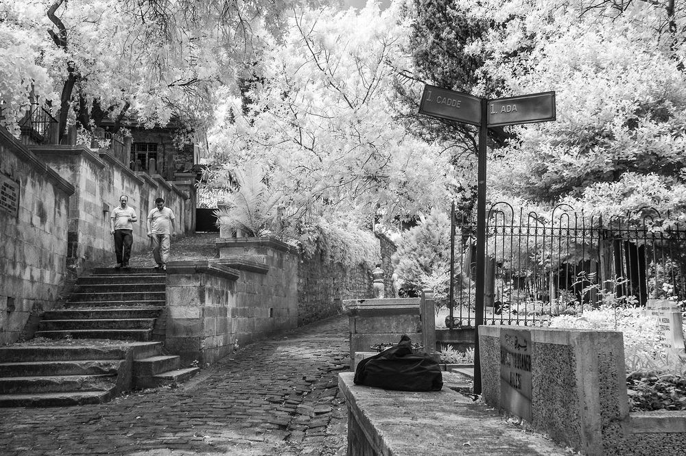 201305 Istanbul - alter Friedhof in Eyüp