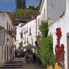 2013_0517 Obidos 005