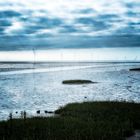 201309 Cuxhaven Watt 2